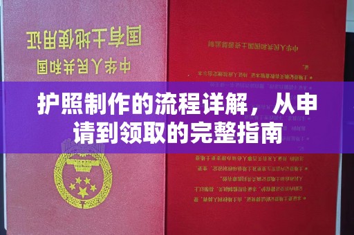 仪陇护照制作的流程详解，从申请到领取的完整指南