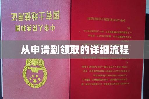 仪陇从申请到领取的详细流程