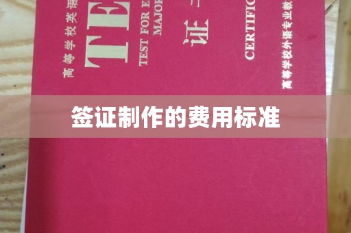 仪陇签证制作的费用标准