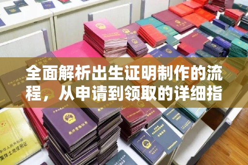 仪陇全面解析出生证明制作的流程，从申请到领取的详细指南