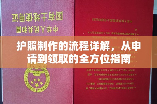 仪陇护照制作的流程详解，从申请到领取的全方位指南
