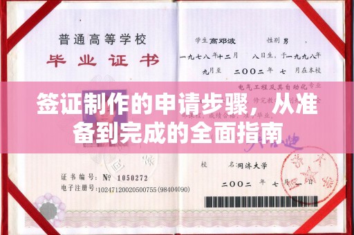 仪陇签证制作的申请步骤，从准备到完成的全面指南