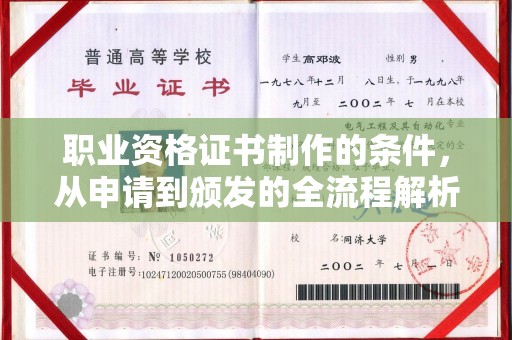 仪陇职业资格证书制作的条件，从申请到颁发的全流程解析