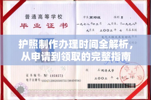 仪陇护照制作办理时间全解析，从申请到领取的完整指南