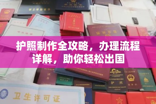 仪陇护照制作全攻略，办理流程详解，助你轻松出国