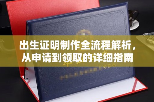 仪陇出生证明制作全流程解析，从申请到领取的详细指南