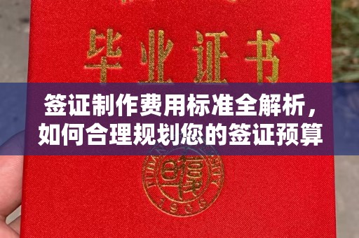 仪陇签证制作费用标准全解析，如何合理规划您的签证预算？